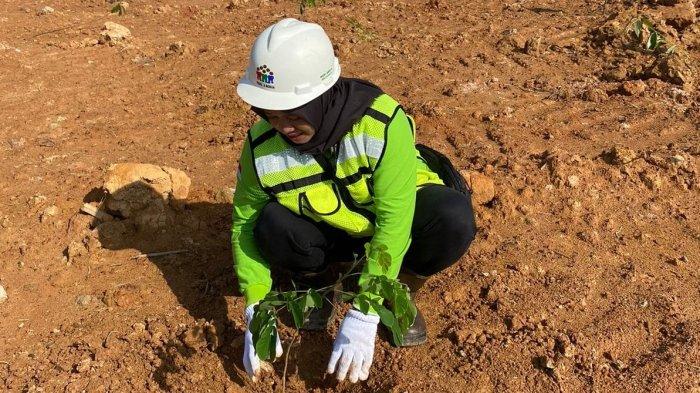 Reklamasi PT Trimata Benua 2025